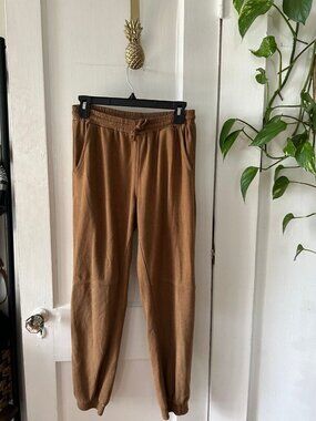 Moonbeam Women’s size large brown suede pants